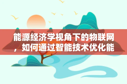 能源经济学视角下的物联网，如何通过智能技术优化能源分配？