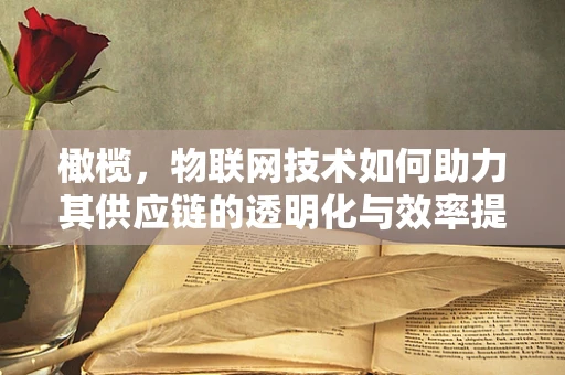 橄榄，物联网技术如何助力其供应链的透明化与效率提升？