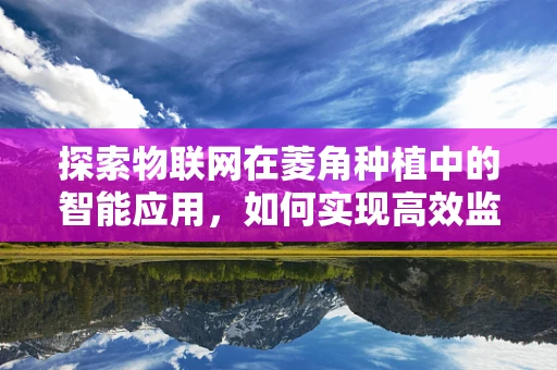 探索物联网在菱角种植中的智能应用，如何实现高效监控与精准管理？