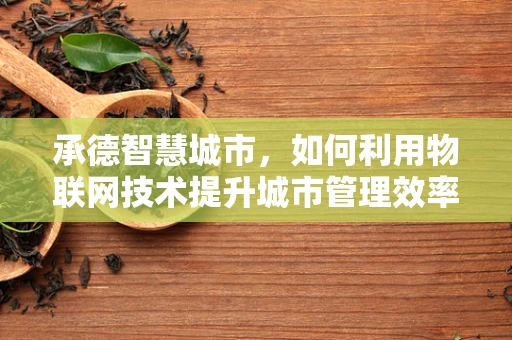 承德智慧城市，如何利用物联网技术提升城市管理效率？