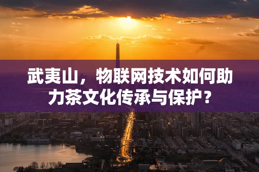 武夷山，物联网技术如何助力茶文化传承与保护？