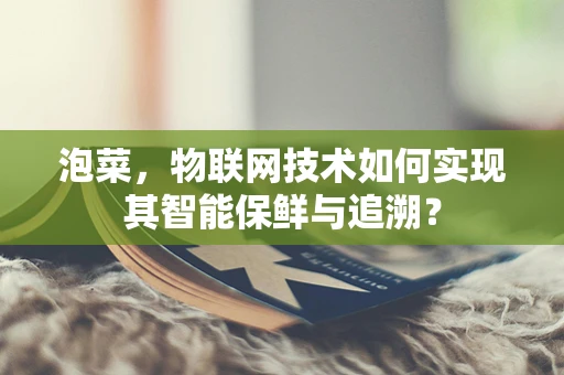 泡菜，物联网技术如何实现其智能保鲜与追溯？