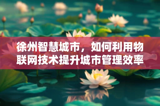 徐州智慧城市，如何利用物联网技术提升城市管理效率？
