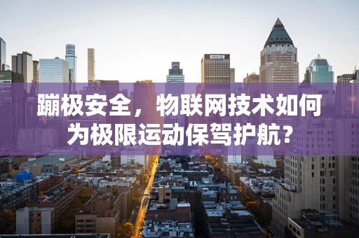 蹦极安全，物联网技术如何为极限运动保驾护航？