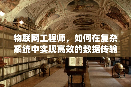 物联网工程师，如何在复杂系统中实现高效的数据传输？
