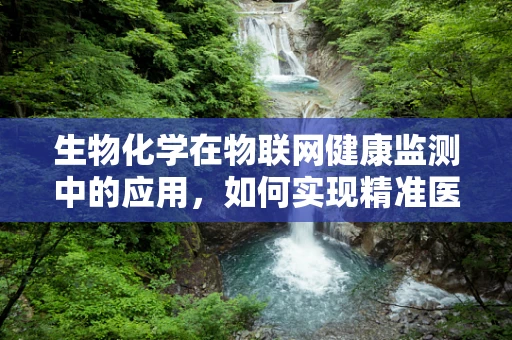 生物化学在物联网健康监测中的应用，如何实现精准医疗的‘智慧’之问？