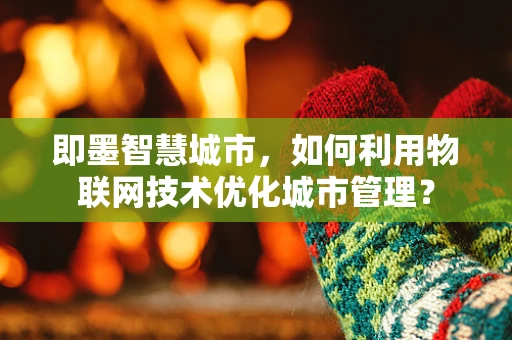 即墨智慧城市，如何利用物联网技术优化城市管理？