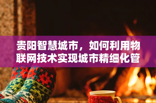 贵阳智慧城市，如何利用物联网技术实现城市精细化管理？