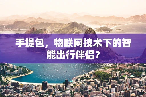 手提包，物联网技术下的智能出行伴侣？