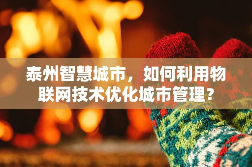 泰州智慧城市，如何利用物联网技术优化城市管理？