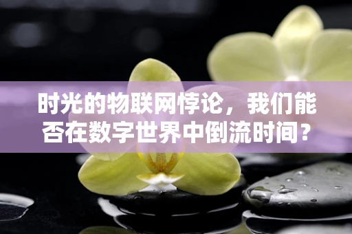 时光的物联网悖论，我们能否在数字世界中倒流时间？