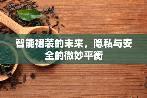 智能裙装的未来，隐私与安全的微妙平衡