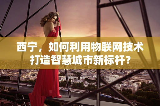 西宁，如何利用物联网技术打造智慧城市新标杆？
