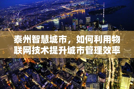 泰州智慧城市，如何利用物联网技术提升城市管理效率？