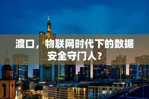 渡口，物联网时代下的数据安全守门人？