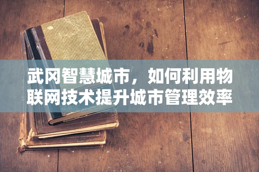 武冈智慧城市，如何利用物联网技术提升城市管理效率？