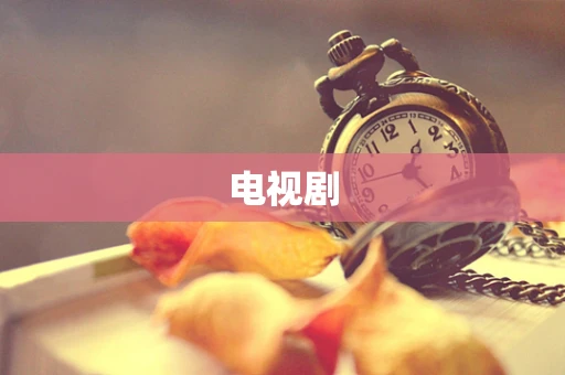 电视剧
