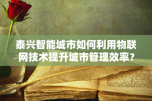 泰兴智能城市如何利用物联网技术提升城市管理效率？