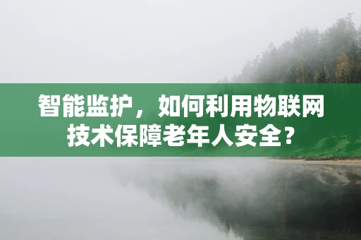 智能监护，如何利用物联网技术保障老年人安全？