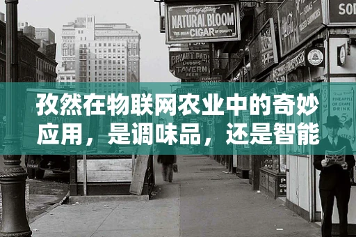孜然在物联网农业中的奇妙应用，是调味品，还是智能农业的秘密武器？