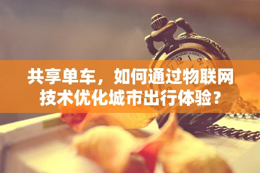 共享单车，如何通过物联网技术优化城市出行体验？