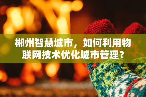 郴州智慧城市，如何利用物联网技术优化城市管理？