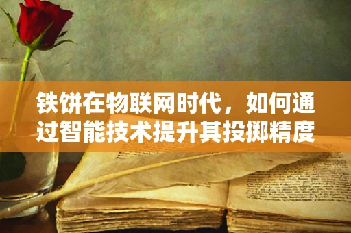 铁饼在物联网时代，如何通过智能技术提升其投掷精度？