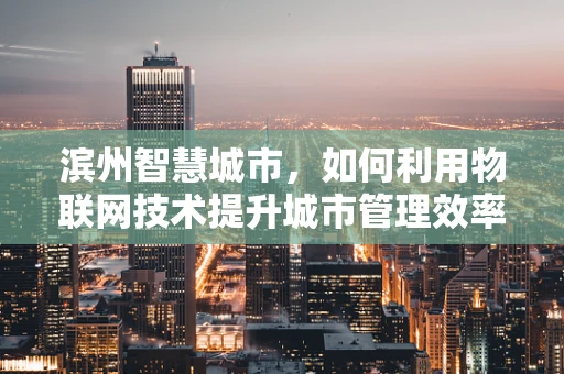 滨州智慧城市，如何利用物联网技术提升城市管理效率？