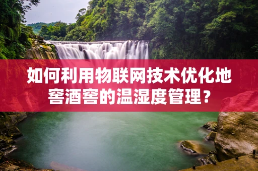 如何利用物联网技术优化地窖酒窖的温湿度管理？