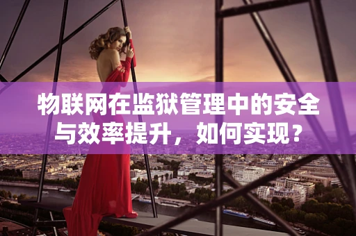物联网在监狱管理中的安全与效率提升，如何实现？
