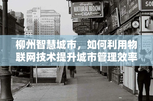 柳州智慧城市，如何利用物联网技术提升城市管理效率？
