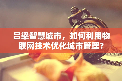 吕梁智慧城市，如何利用物联网技术优化城市管理？