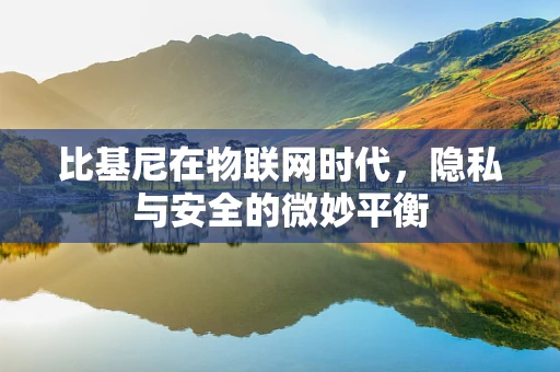 比基尼在物联网时代，隐私与安全的微妙平衡