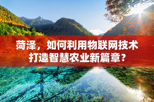 菏泽，如何利用物联网技术打造智慧农业新篇章？