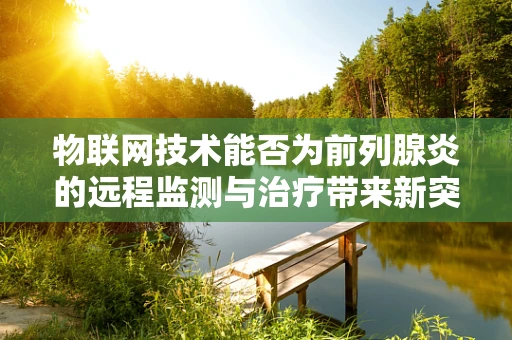物联网技术能否为前列腺炎的远程监测与治疗带来新突破？