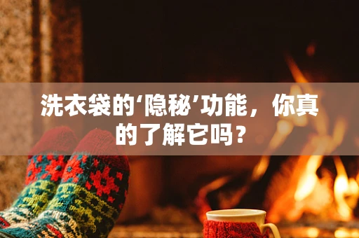 洗衣袋的‘隐秘’功能，你真的了解它吗？