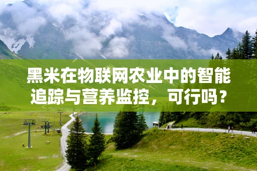 黑米在物联网农业中的智能追踪与营养监控，可行吗？