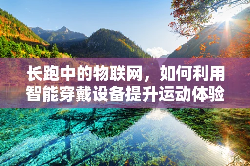 长跑中的物联网，如何利用智能穿戴设备提升运动体验？