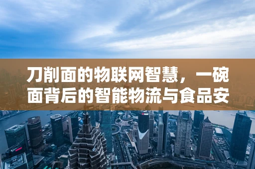 刀削面的物联网智慧，一碗面背后的智能物流与食品安全新纪元？