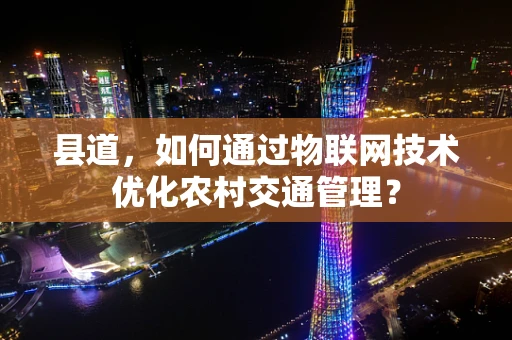 县道，如何通过物联网技术优化农村交通管理？