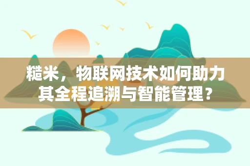 糙米，物联网技术如何助力其全程追溯与智能管理？