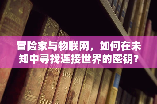 冒险家与物联网，如何在未知中寻找连接世界的密钥？