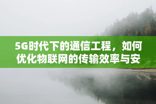 5G时代下的通信工程，如何优化物联网的传输效率与安全性？