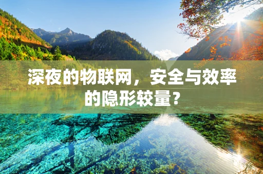 深夜的物联网，安全与效率的隐形较量？