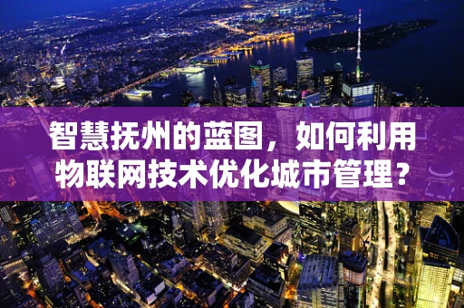 智慧抚州的蓝图，如何利用物联网技术优化城市管理？