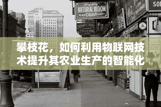 攀枝花，如何利用物联网技术提升其农业生产的智能化与可持续性？
