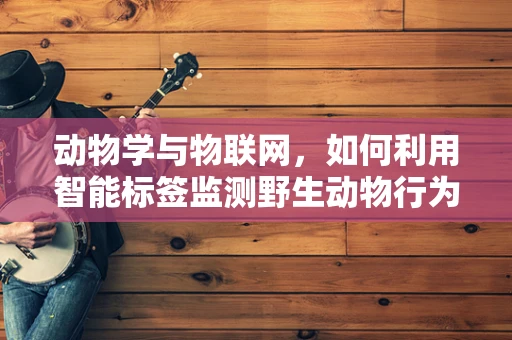 动物学与物联网，如何利用智能标签监测野生动物行为？