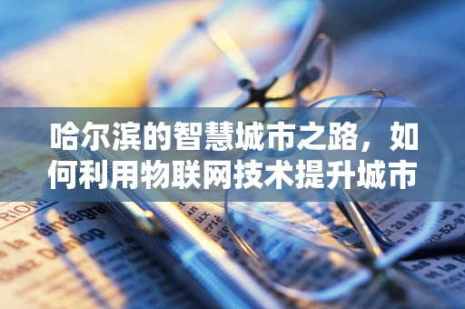 哈尔滨的智慧城市之路，如何利用物联网技术提升城市管理效率？