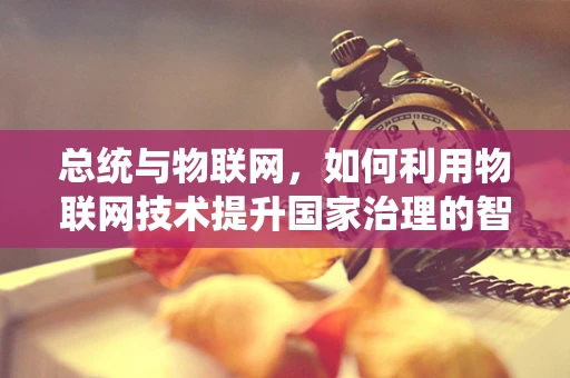 总统与物联网，如何利用物联网技术提升国家治理的智慧与效率？