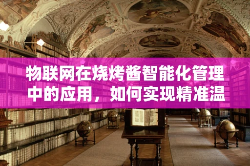 物联网在烧烤酱智能化管理中的应用，如何实现精准温控与保鲜？
